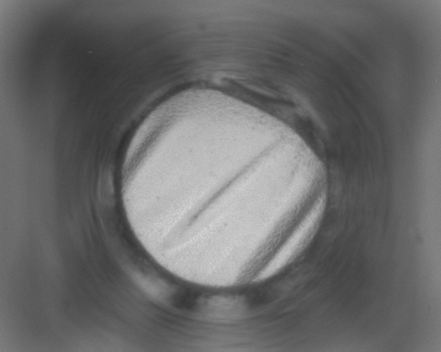 X0000081340251200702082236