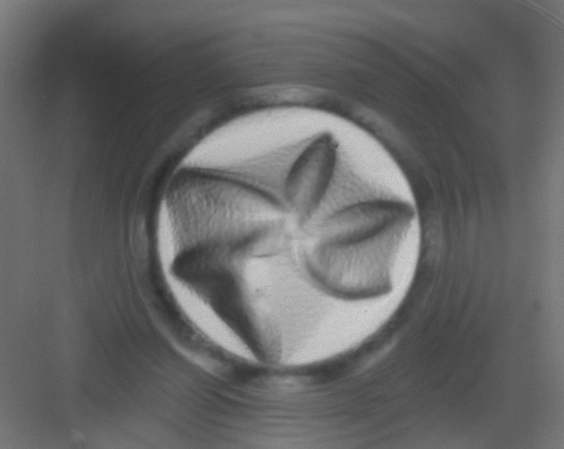 X0000081340254200702082236
