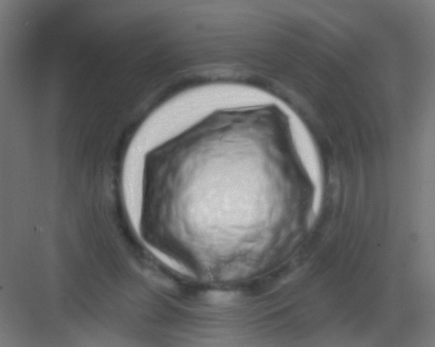 X0000081340255200702082236