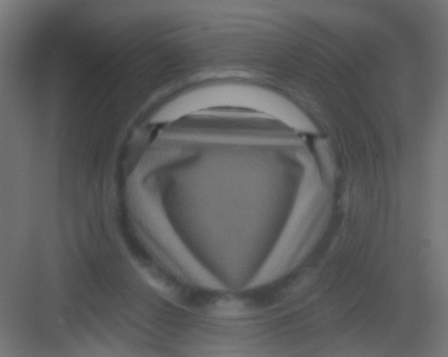 X0000081340256200702082236