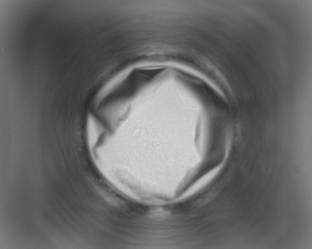 X0000081340257200702082236