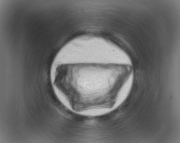 X0000081340259200702082236