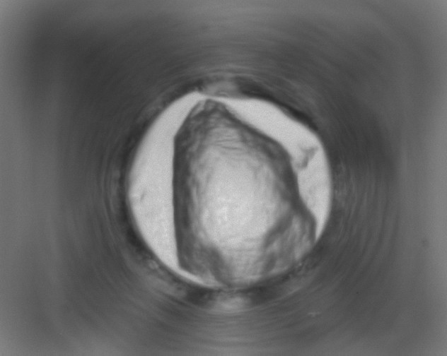 X0000081340263200702082236