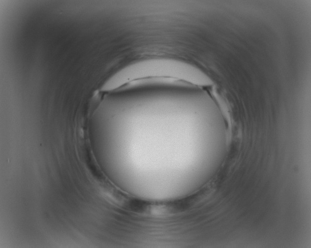 X0000081340264200702082236