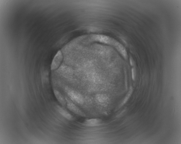 X0000081340269200702082236