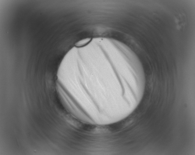X0000081340270200702082236