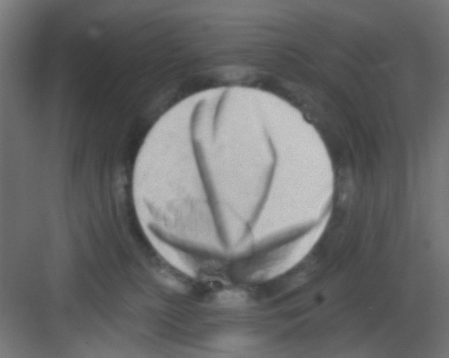 X0000081340279200702082236