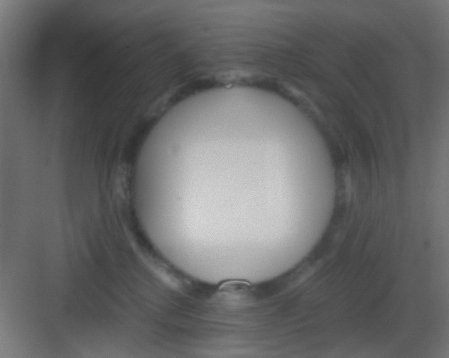 X0000081340280200702082236