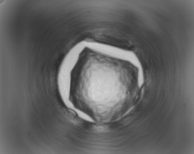 X0000081340283200702082236