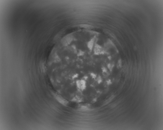 X0000081340285200702082236