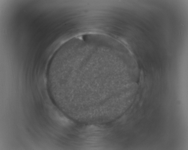X0000081340290200702082236