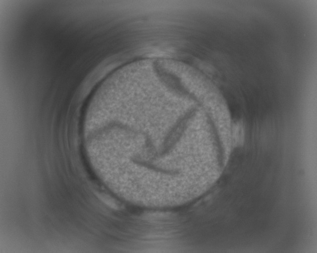 X0000081340291200702082236