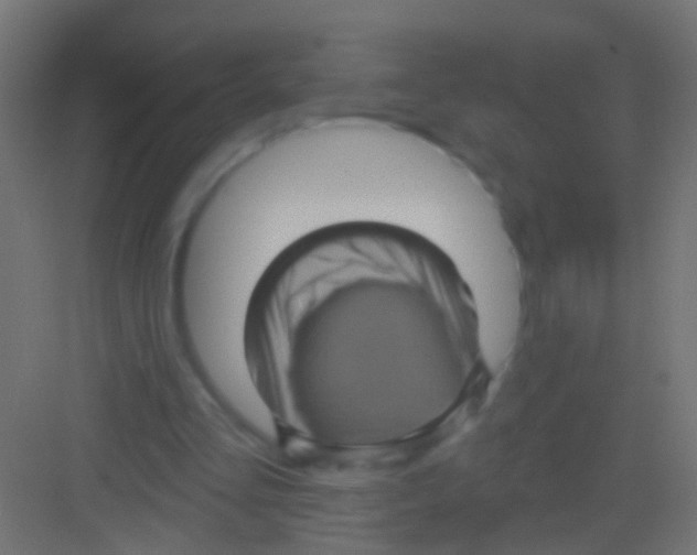 X0000081340293200702082236