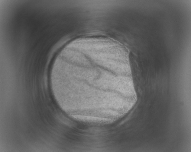 X0000081340294200702082236