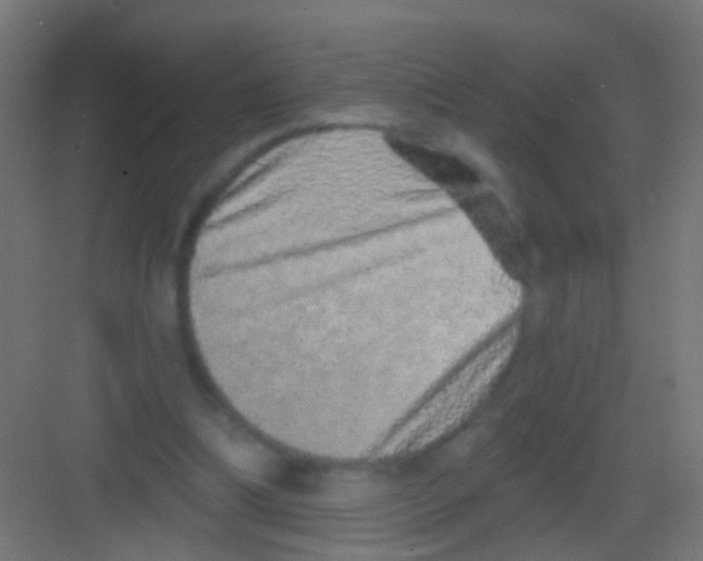 X0000081340298200702082236