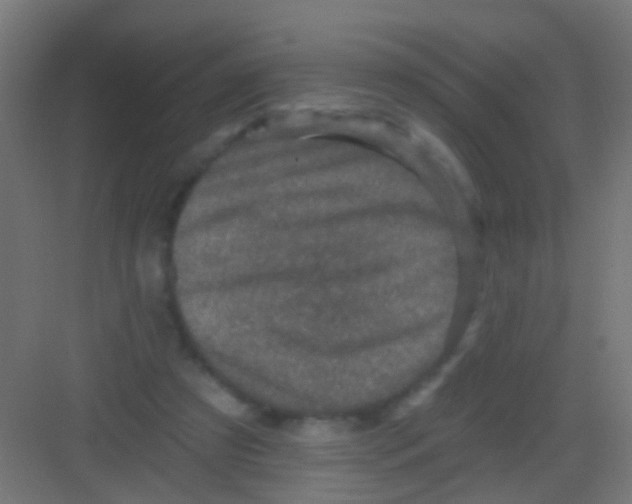 X0000081340305200702082235