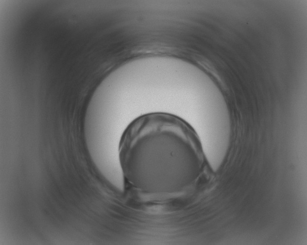 X0000081340309200702082235