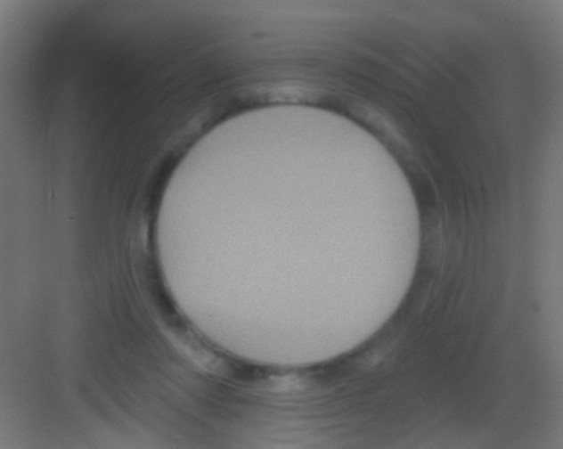 X0000081340310200702082235