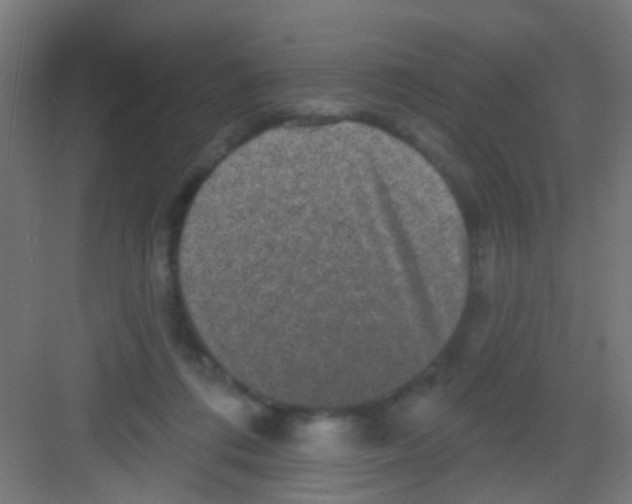 X0000081340312200702082235