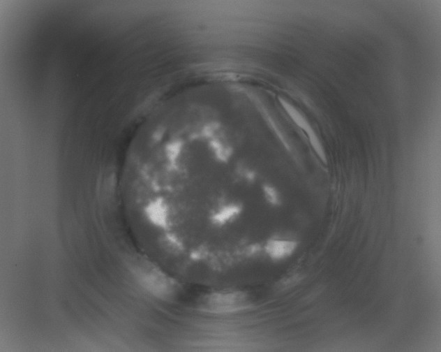 X0000081340314200702082235
