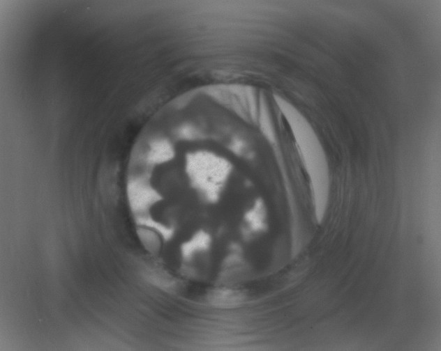 X0000081340319200702082235