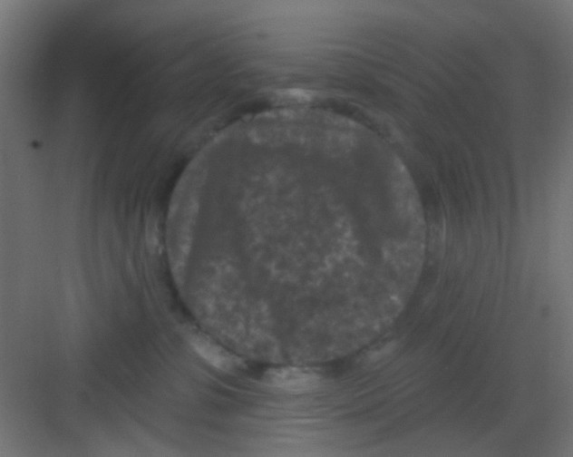 X0000081340331200702082235