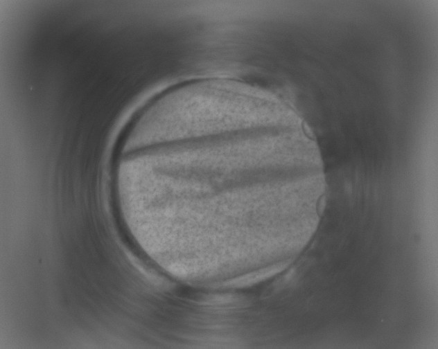 X0000081340342200702082234