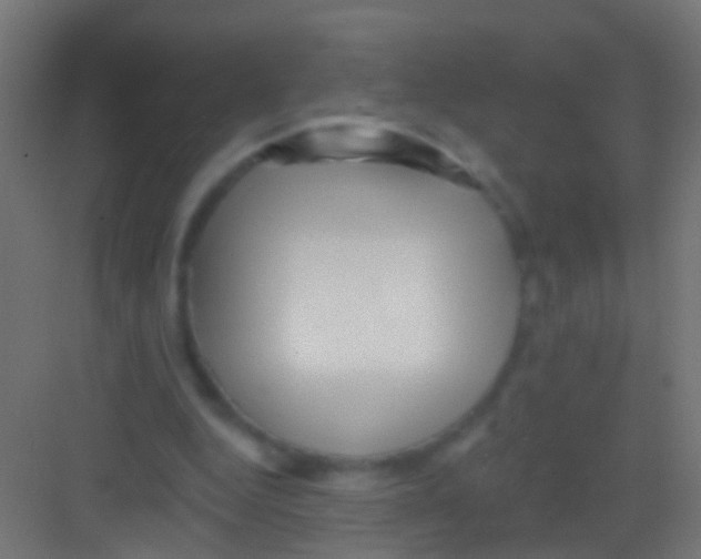 X0000081340344200702082234