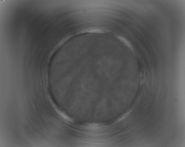 X0000081340349200702082234