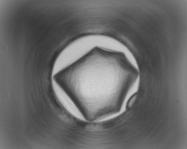 X0000081340354200702082234