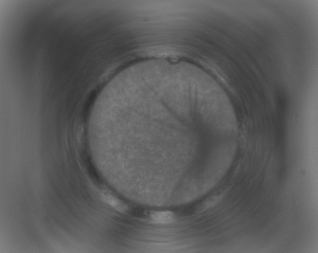X0000081340355200702082234