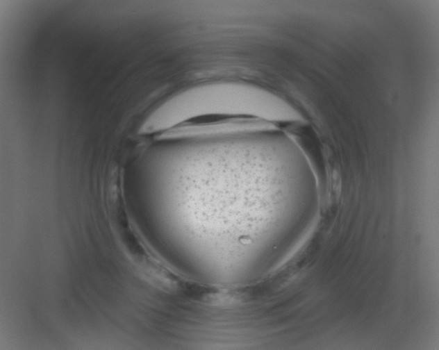 X0000081340356200702082234