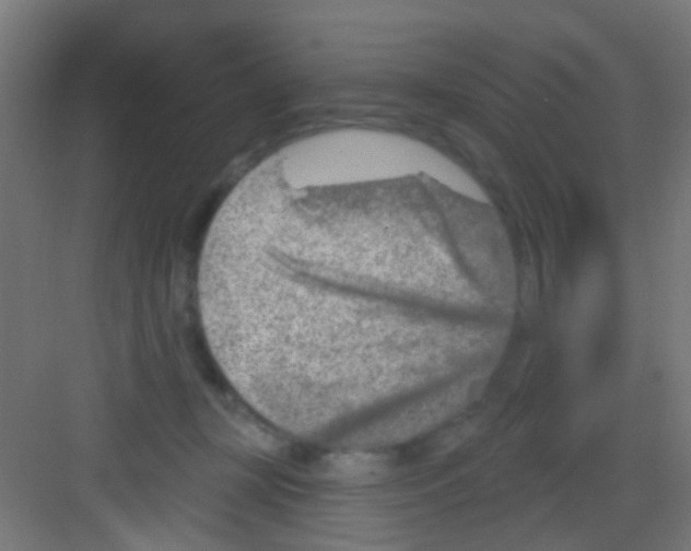 X0000081340367200702082235