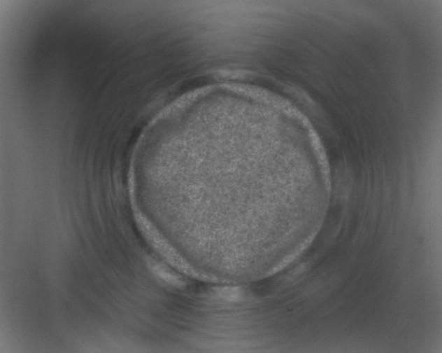 X0000081340377200702082235