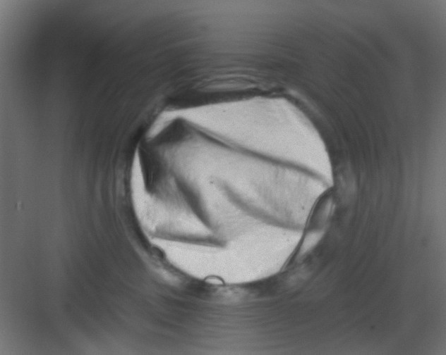 X0000081340379200702082235