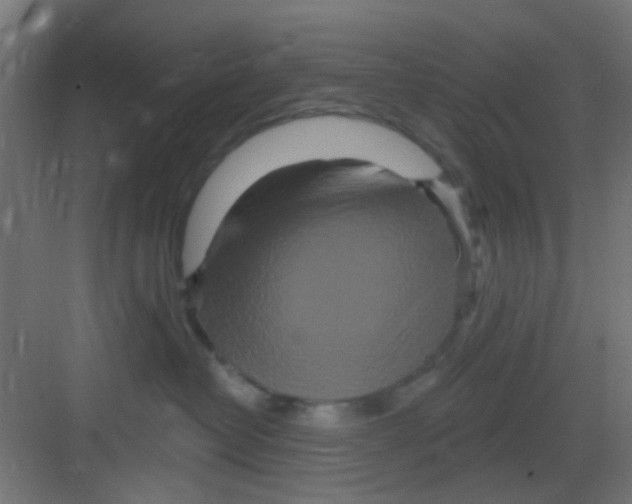 X0000081340382200702082235