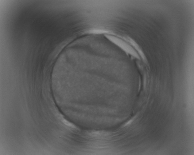 X0000081340385200702082234