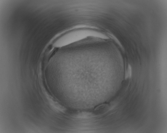 X0000081340387200702082234