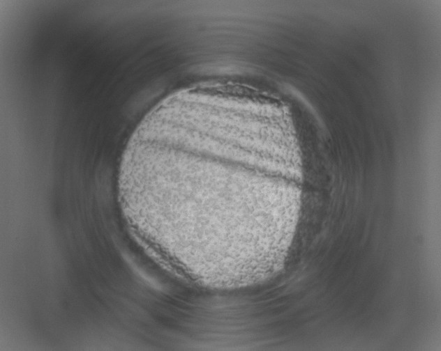 X0000081340394200702082234