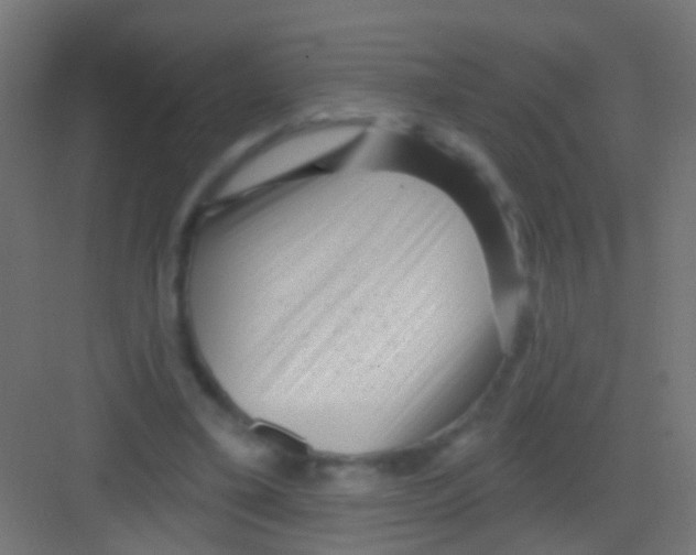 X0000081340395200702082234