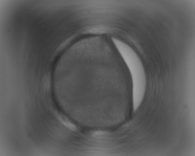 X0000081340400200702082234