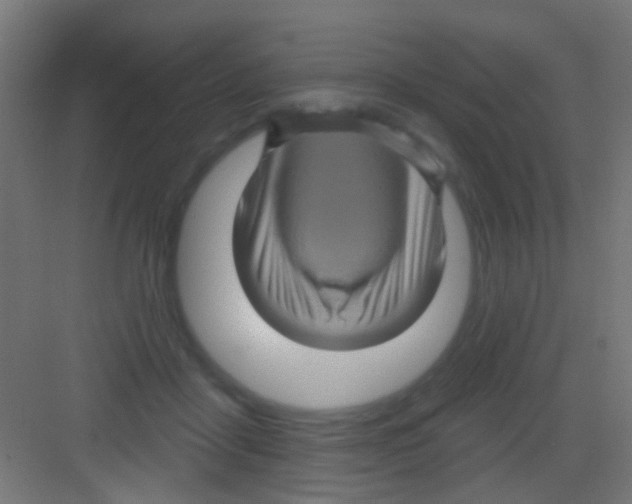 X0000081340411200702082234