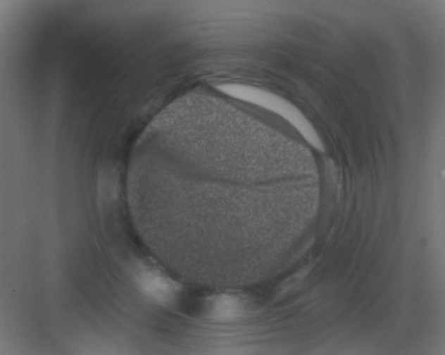 X0000081340412200702082234