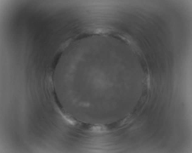 X0000081340415200702082234