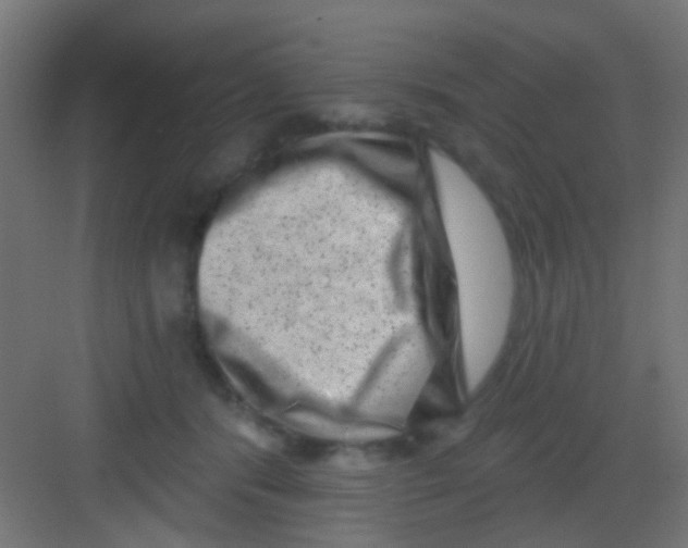 X0000081340416200702082234