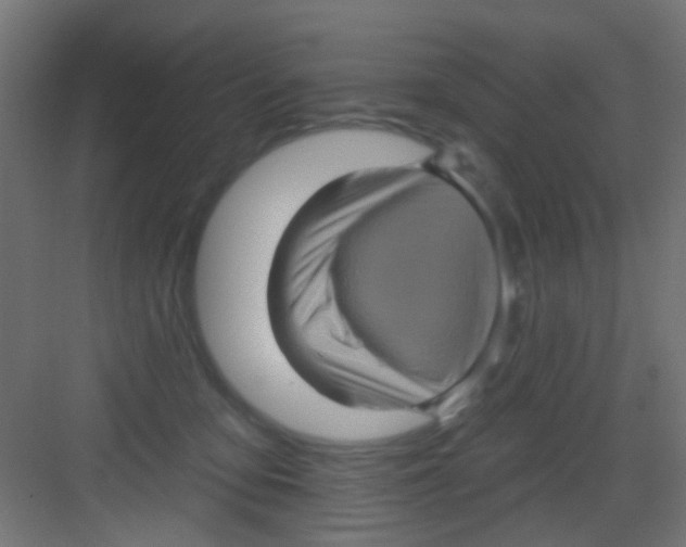 X0000081340419200702082234