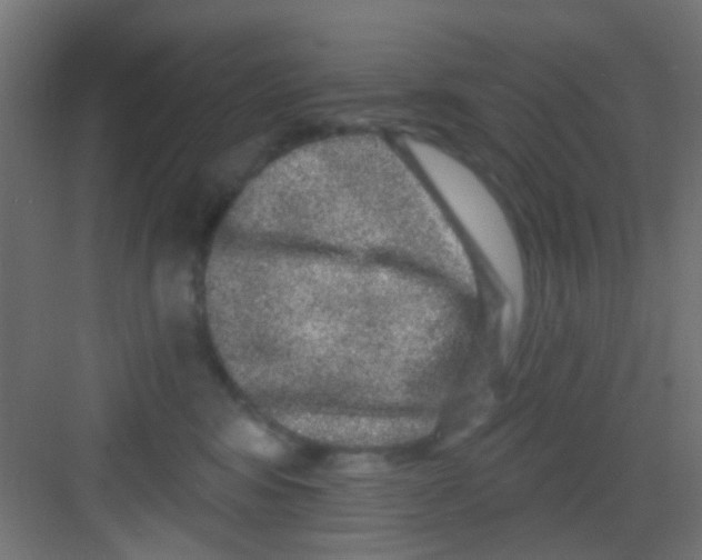X0000081340424200702082233