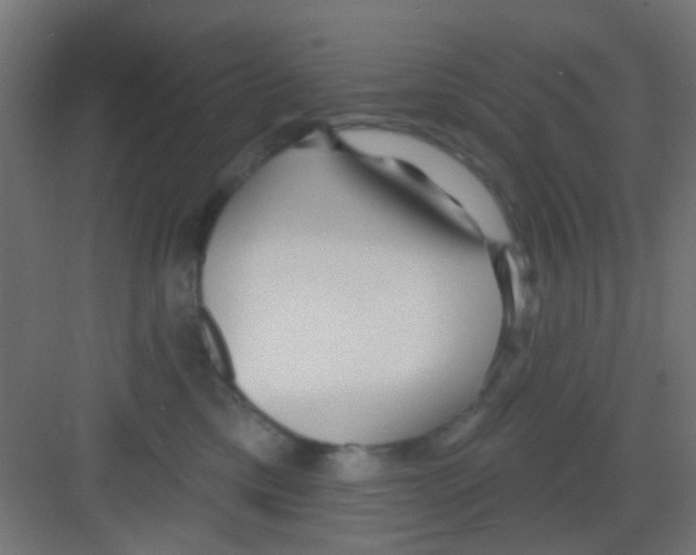 X0000081340425200702082233