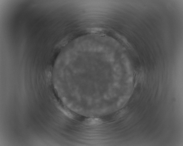 X0000081340427200702082233