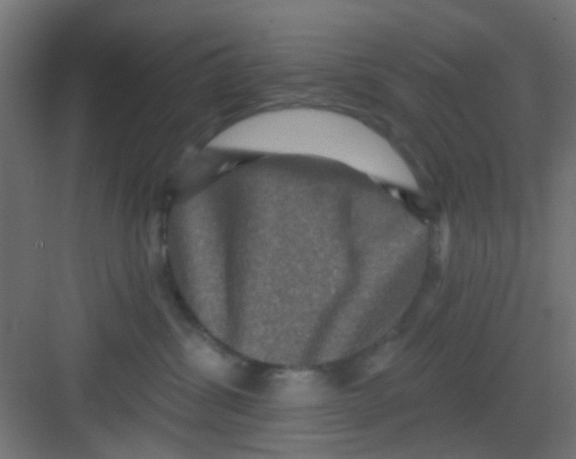 X0000081340428200702082233